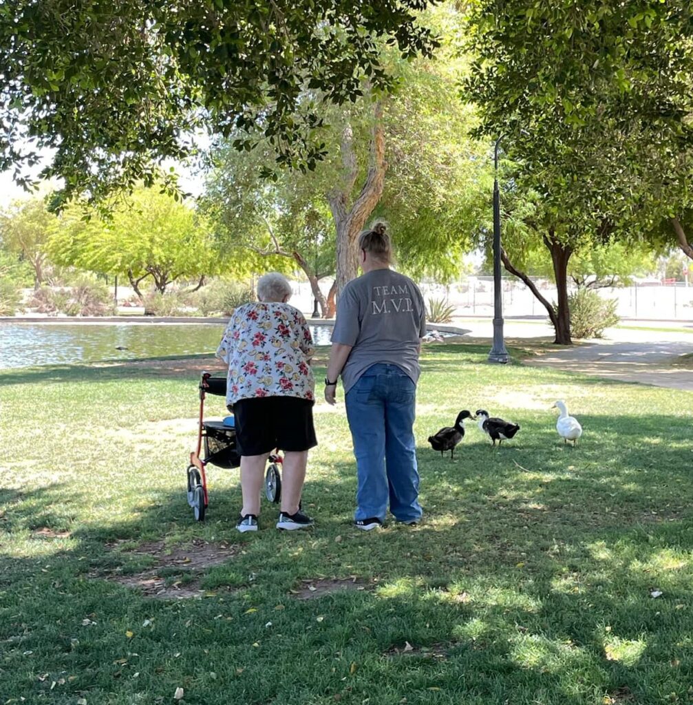 A woman with a stroller looking at ducks.